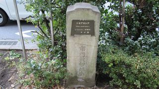 「市内最初ノ竝木」との歴史を感じる石碑があります