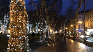 冬場はイルミネーションが美しい