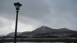 観光地の喧騒に疲れ、静かな函館の港の風情を味わいたい人向け