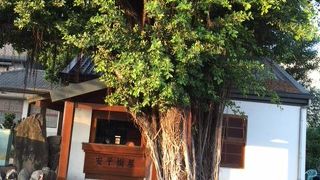 安平樹屋は元々イギリス商の倉庫で、現在は倉庫の内外に古い古いガジュマルの木が生い茂っています