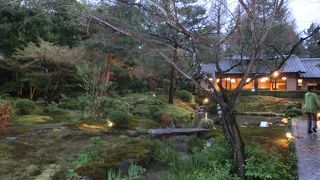 老舗で湯豆腐の夕食