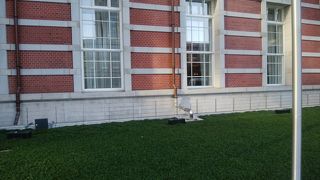 第1級のおすすめ