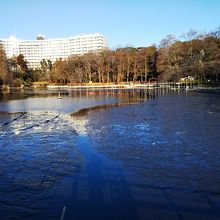 井の頭池
