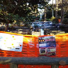 井の頭恩賜公園