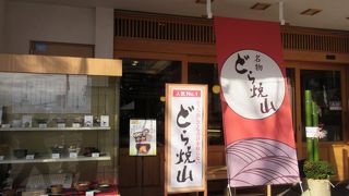 どこへ出しても