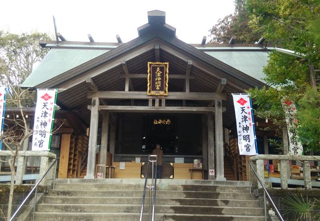 天津神明宮 クチコミ アクセス 営業時間 鴨川 フォートラベル