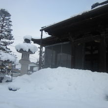 雪の情緒を味わう、以上の光景でした( ´∀｀ )