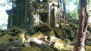 崩壊と瑞々しい木々とのコントラスト