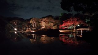 紅葉ライトアップ