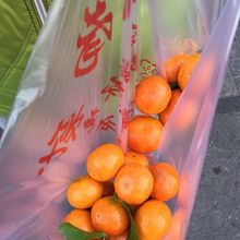 小さな甘い蜜柑を買いました