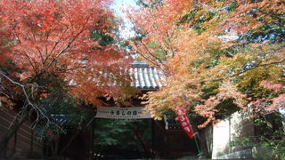 法輪寺に行きました