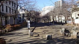 昔堀だったところが公園になったので長い。