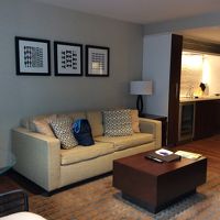 リビングとキッチン。リビングのソファーはベッドに変換できる。