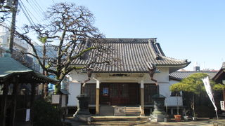 本堂の瓦屋根が印象に残ります。