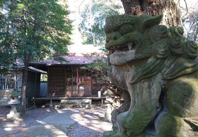 狛犬が迫力あり