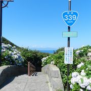 日本で唯一！国道が階段になっている！？