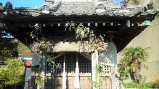 本殿では猫が日向ぼっこを！