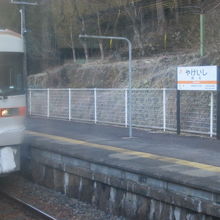 下呂手前の焼石駅にて。対向車両が”雪化粧”して登場。