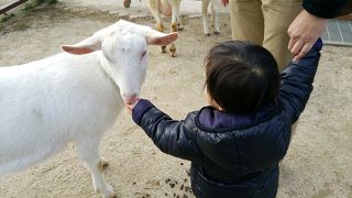 のんびりお散歩