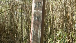 ただの分岐点です