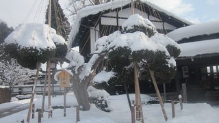 建物脇に聳える大イチョウもお見逃しなく！