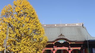 黄葉の見事な｢不動明王さま｣のお寺。