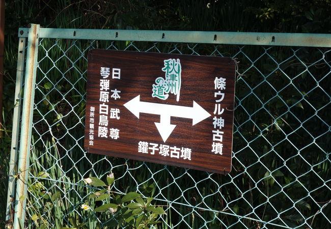 白鳥、日本武尊の中継地か