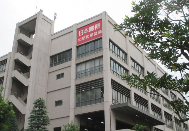 とにかくでかいです