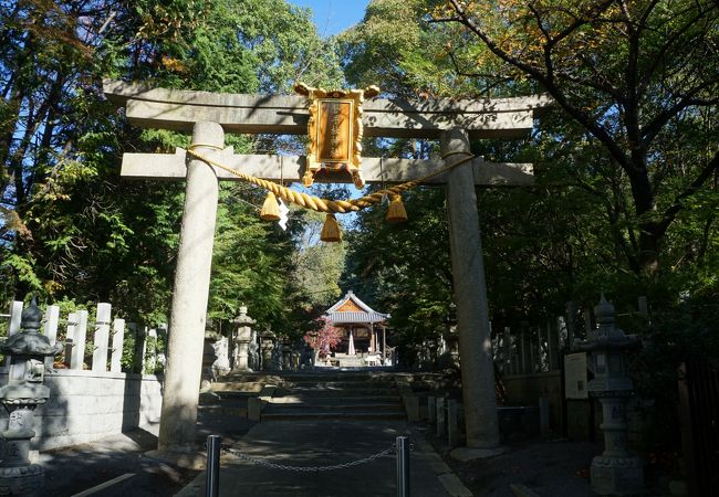 磐手杜神社