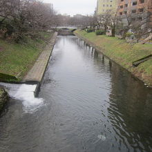 桜橋からの松川の景観