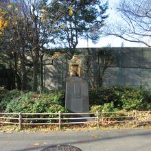 正面からの眺め