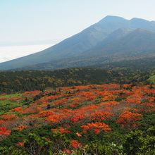 紅葉と岩手山