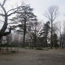 公園の様子