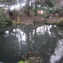 池のある風景も素敵ですね。