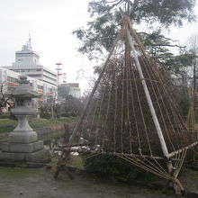 雪吊りの様子も味わいがあります