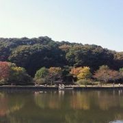 広い公園でのんびり