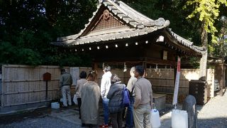 私もちょこっと飲んでみたかったのですが