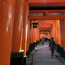 独特の景観と体験です