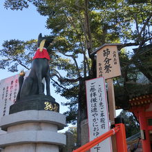 いたる所に狐さんがいます