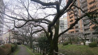 富山でのフラッと散策には一番良い所だと思います