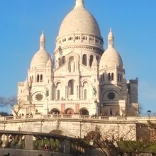 その白さが際立ちます