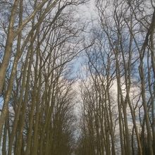 冬のヨーロッパは大体こんなもんですが、、、