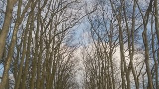 冬の季節は寂しいばかり、、、