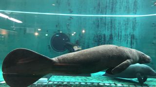 4頭しっかり見れました