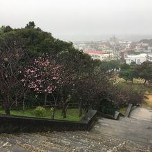 この階段をえっちらこっちら。