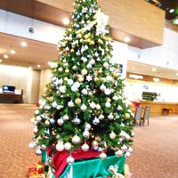 エントランスにツリー