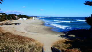 ウミウの繁殖場所は入場規制があって行けませんでした
