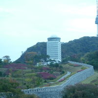 部屋から見えます