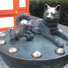 子供が鼻の手術をするので鼻をなでなで