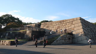 上からは東御苑の本丸跡を一望